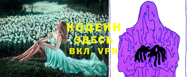эйфоретик Баксан